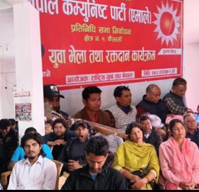 एमालेको कैलाली १ मा चुनाव लक्षित युवा भेला