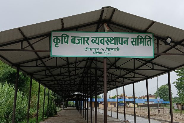 संरचनाले समृद्ध बन्दै टीकापुर कृषि हाट बजार